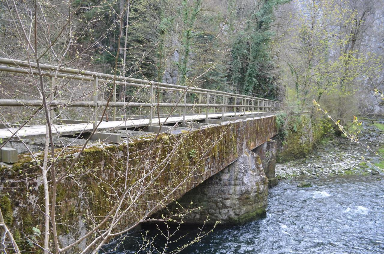Apartma Nika Planina  Dış mekan fotoğraf