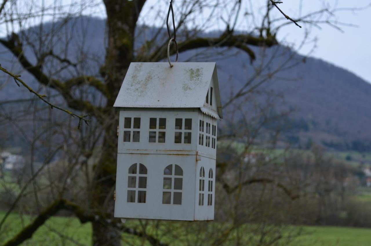 Apartma Nika Planina  Dış mekan fotoğraf