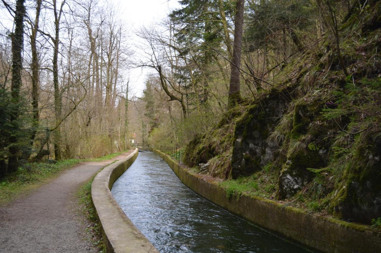 Apartma Nika Planina  Dış mekan fotoğraf