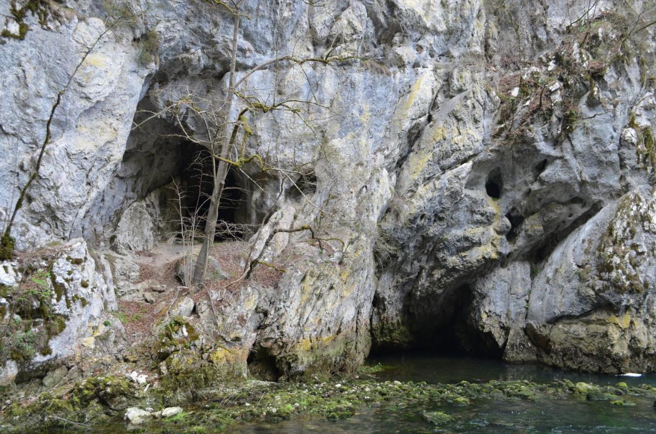 Apartma Nika Planina  Dış mekan fotoğraf